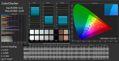 CalMAN: ColorChecker (calibrated)