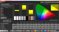 CalMAN ColorChecker (target color space sRGB)