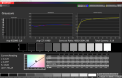 CalMAN Gri Skalaları (kalibrasyondan sonra)
