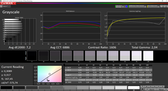 CalMAN Grayscale (target color space P3)