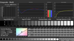 CalMAN: Gri tonlama (kalibre edilmiş)