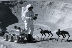 Çinli mühendisler, Ay'daki robot köpeklerin astronotlara yardımcı olabileceğini düşünüyor.