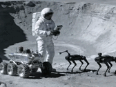 Çinli mühendisler, Ay'daki robot köpeklerin astronotlara yardımcı olabileceğini düşünüyor.