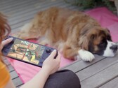 Birçok oyuncu, daha zayıf donanımına rağmen hala Steam Deck'i tercih ediyor.