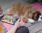 Birçok oyuncu, daha zayıf donanımına rağmen hala Steam Deck'i tercih ediyor.