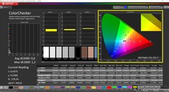 CalMAN ColorChecker kalibre edildi (hedef renk alanı: P3)