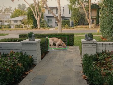 Yeni özellik, bir mahalledeki evcil hayvanları izlemek ve bulmak için yapay zekayı kullanabilir