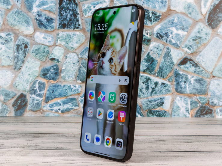 (Resim kaynağı: Daniel Schmidt)