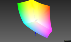 vs. sRGB: 99.9% (Argyll 3D comparison)