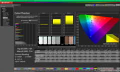 Kalibrasyondan önce ColorChecker (P3'e karşı)