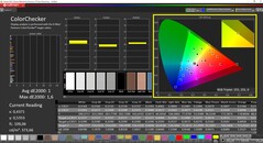 CalMAN ColorChecker (hedef renk alanı DCI-P3)