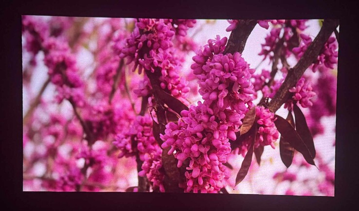 Görüntü kalitesi örnekleri (karanlık oda, yüksek kontrastlı ekran, iPhone 16 Pro ile çekilmiş)
