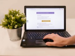 Masada, açık bir e-posta gelen kutusu görünen bir dizüstü bilgisayar ve yanında bir saksı bitkisi.