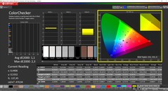CalMAN ColorChecker (profil: P3, hedef renk uzayı: P3)