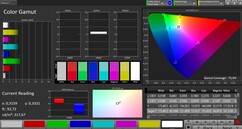 CalMAN DCI P3 color space – natural