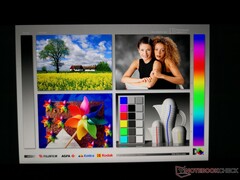 Typical wide IPS viewing angles