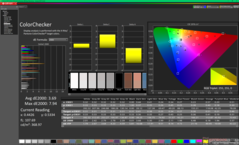 Kalibrasyondan önce ColorChecker (P3'e karşı)