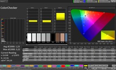 ColorChecker (Profil: Profesyonel, Hedef renk alanı: sRGB)