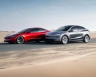 Tesla Model Y ve Model 3