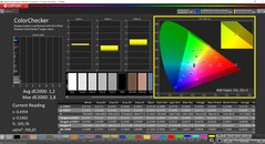 CalMAN ColorChecker (profil: Display P3, hedef renk uzayı: P3)