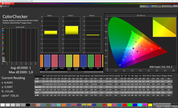 ColorChecker (Profil: Pro | Standard, hedef renk uzayı: sRGB)