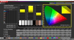 CalMAN ColorChecker (profil: Native, hedef renk uzayı: P3)