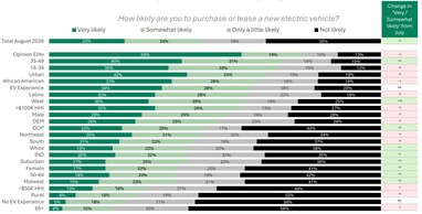 Yeni bir elektrikli araç satın alma veya kiralama olasılığınız nedir?