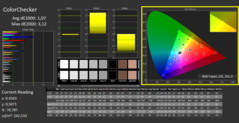 CalMAN: ColorChecker (kalibre edilmiş)