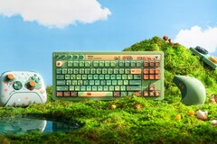 8BitDo'nun yeni Xbox ürünleri, doğadan ilham alan bir tasarıma sahiptir.