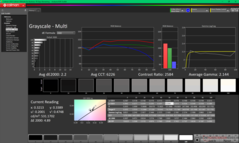 Kalibrasyon öncesi gri tonlama (P3)