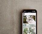 Gri bir yüzey üzerinde duran akıllı telefonun ekranında kedi ve çiçek fotoğraflarından oluşan bir galeri