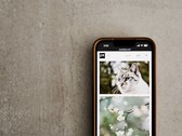 Gri bir yüzey üzerinde duran akıllı telefonun ekranında kedi ve çiçek fotoğraflarından oluşan bir galeri
