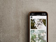 Gri bir yüzey üzerinde duran akıllı telefonun ekranında kedi ve çiçek fotoğraflarından oluşan bir galeri