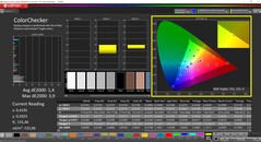 CalMAN ColorChecker (profil: sRGB, hedef renk uzayı: sRGB)