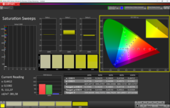CalMAN doygunluğu kalibre edildi