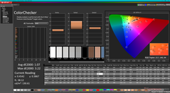 Kalibrasyondan sonra ColorChecker