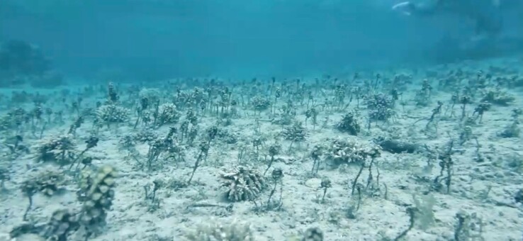 Okyanus Modu Olmadan