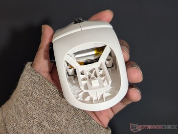 Pathfinder Çekirdeğinin Kabuğu.