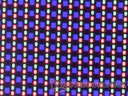 Net OLED alt pikselleri