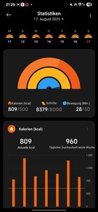 Xiaomi Smart Band 10 Aktivite