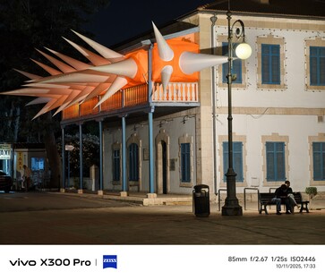 Vivo X300 Pro: Fotoğraf örneği