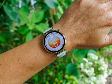 41 mm Dış Mekan Modeli