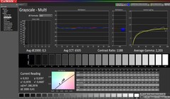 CalMAN: grayscale (calibrated)