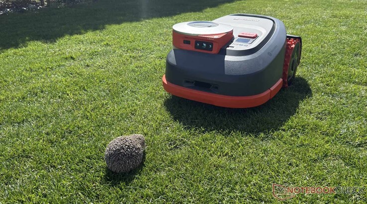 Navimow H2, test sırasında sahte kirpimizi güvenilir bir şekilde algıladı.