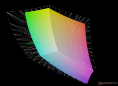 vs. Adobe RGB - %68,2 kapsama alanı