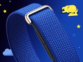 Fitbit Air, Pokémon Sleep Özel Sürümü'ne kavuşuyor.