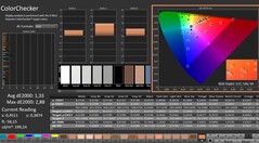 CalMAN: ColorChecker (kalibre edilmiş)