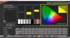 CalMAN ColorChecker (profil: sRGB, hedef renk uzayı: sRGB)