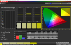 CalMAN doygunluğu (sRGB)