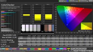 Renk doğruluğu (otomatik kontrast, renk: sıcak, hedef renk alanı: sRGB)